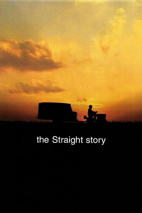 Locandina di Una storia vera